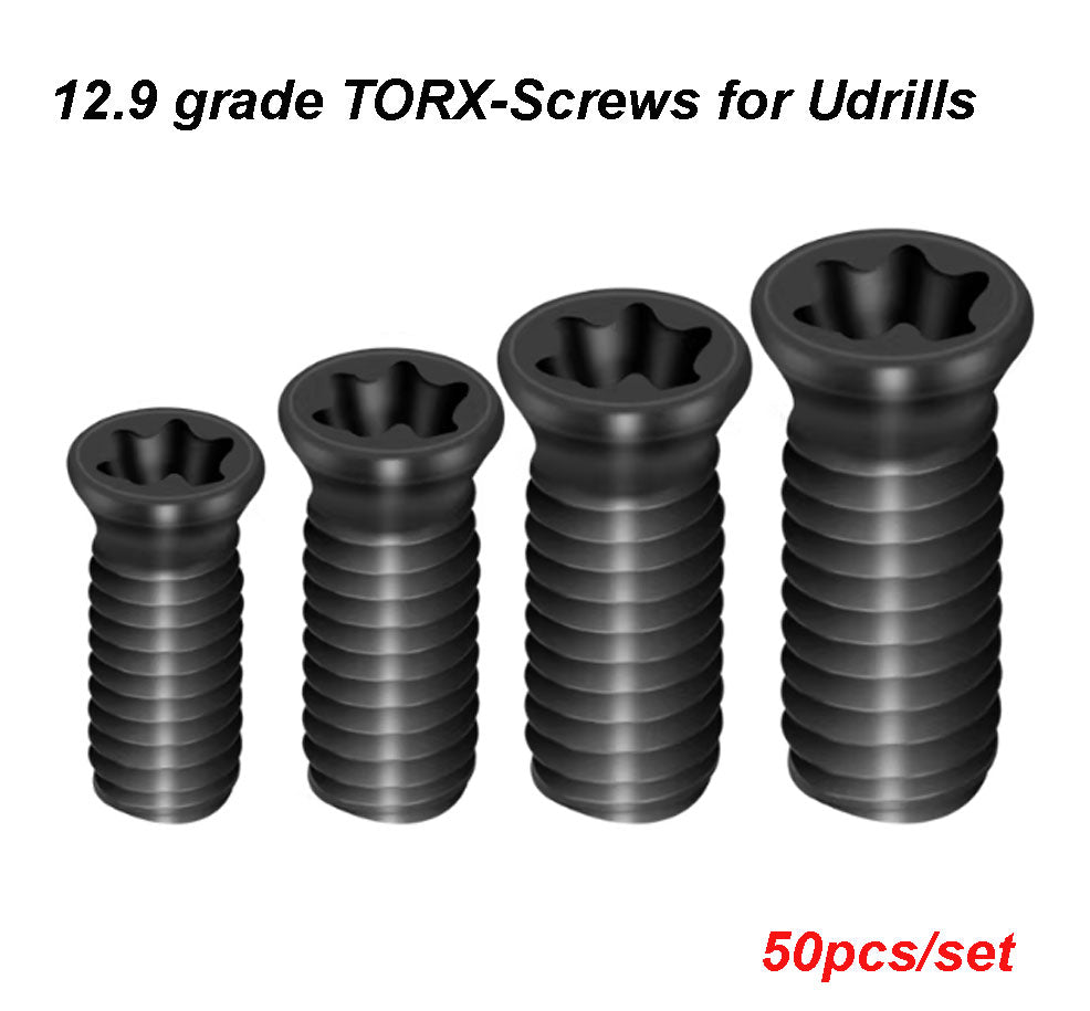 Metric Torx Screws for Udrills