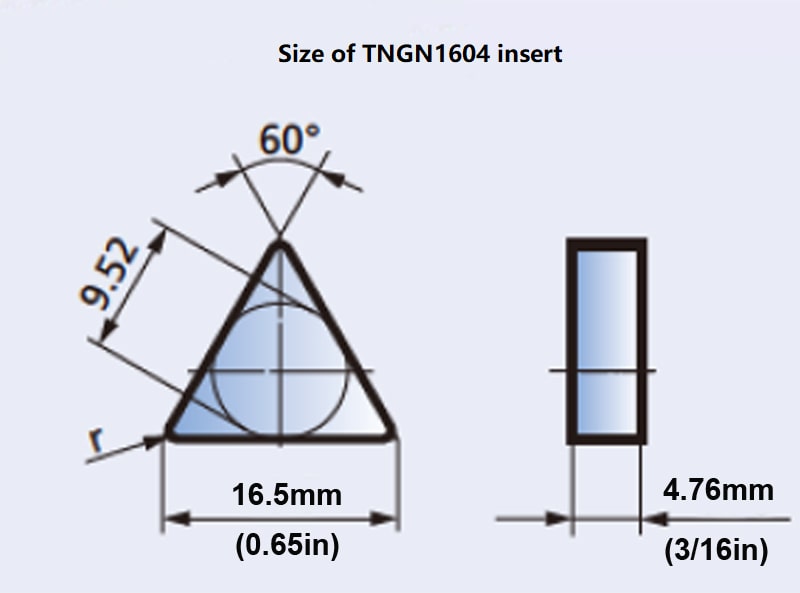 size of TNGN1604 insert